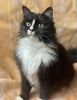 Margo (37)